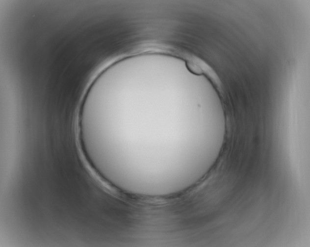 X0000114211431200910091020