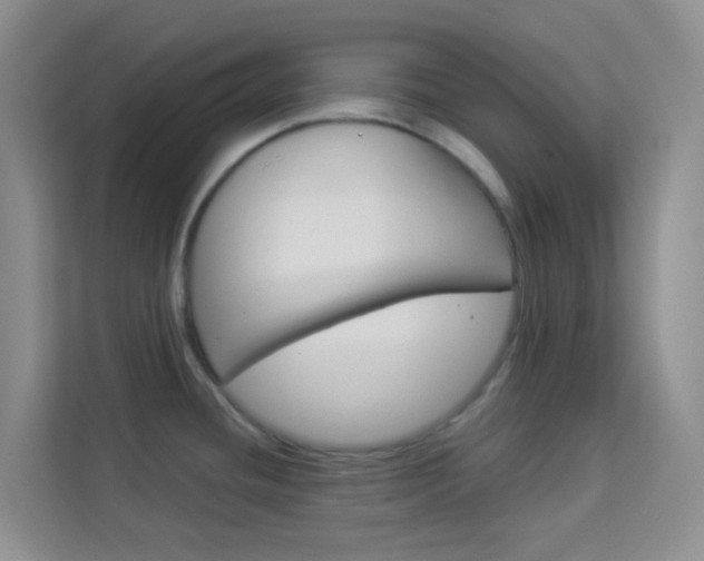 X0000114211436200910091020