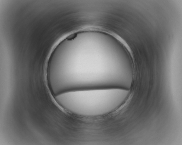 X0000114211437200910091020