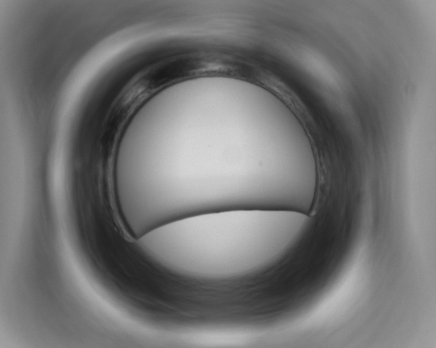 X0000114211439200910091020