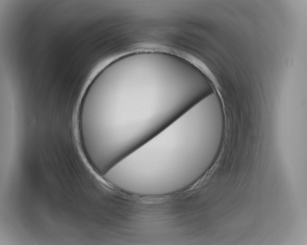 X0000114211440200910091020