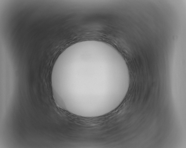 X0000114211441200910091019