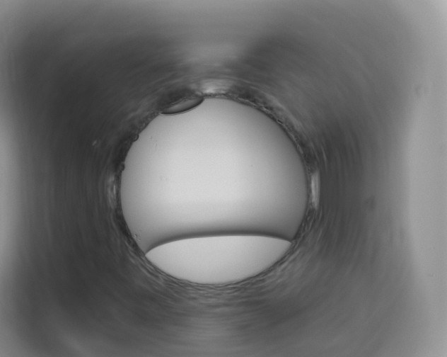 X0000114211443200910091019