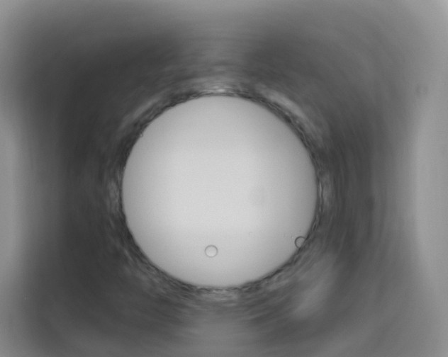 X0000114211446200910091019