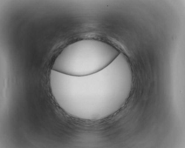 X0000114211447200910091019
