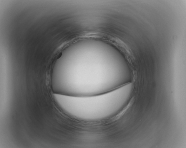 X0000114211449200910091019