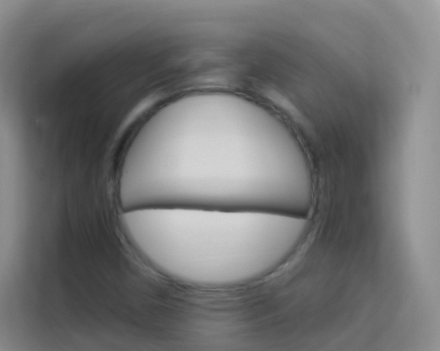 X0000114211450200910091019
