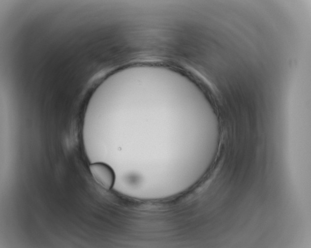 X0000114211451200910091019