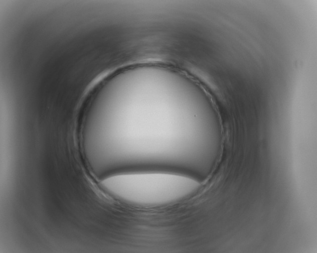 X0000114211452200910091019