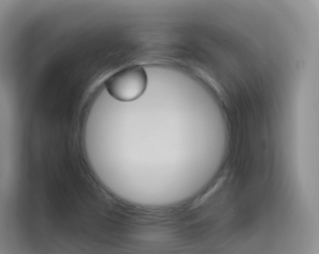 X0000114211453200910091019