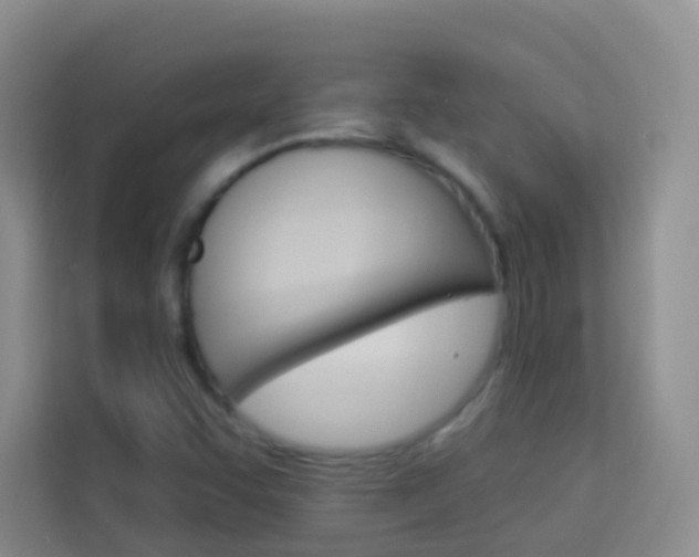 X0000114211455200910091019