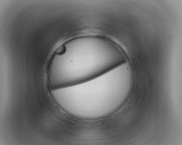 X0000114211459200910091019