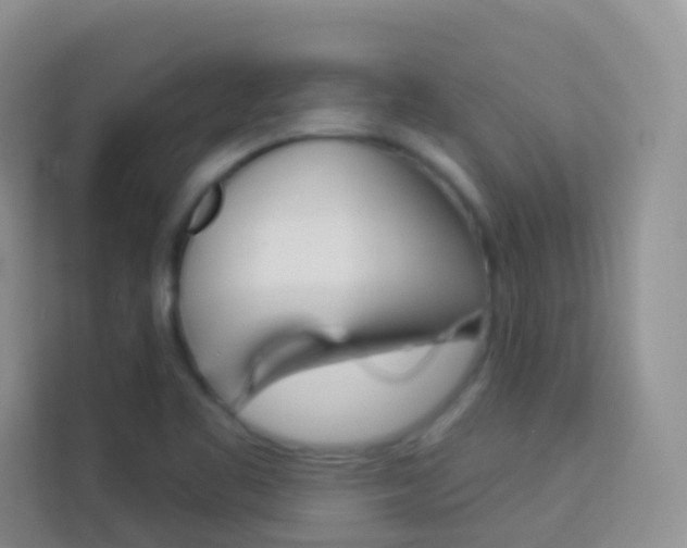 X0000114211461200910091019