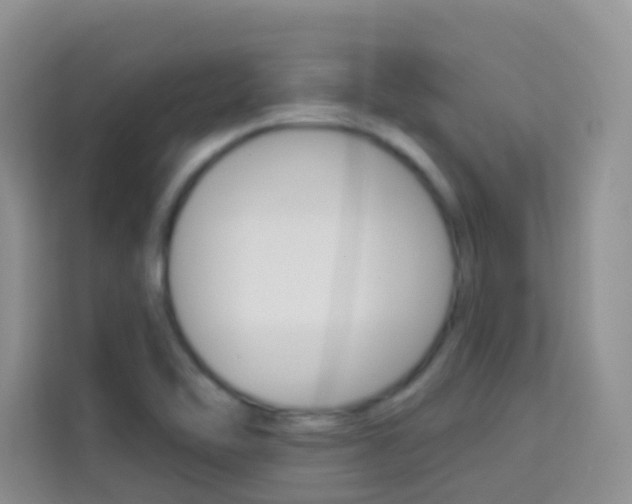 X0000114211462200910091019