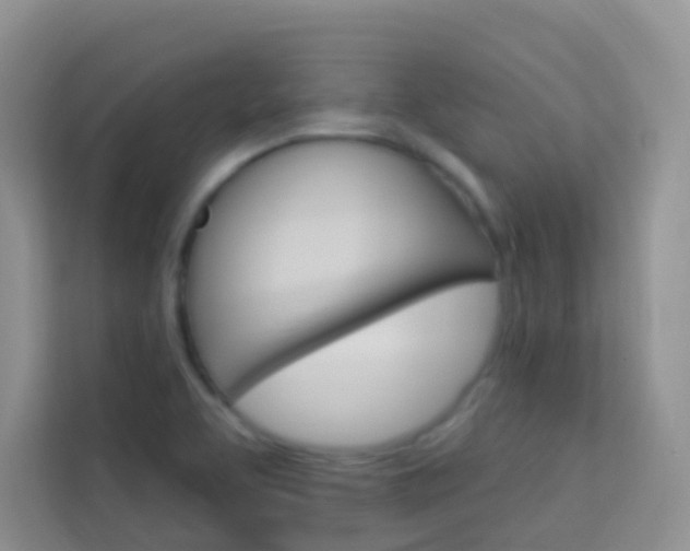 X0000114211463200910091019