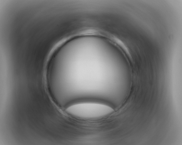 X0000114211464200910091019