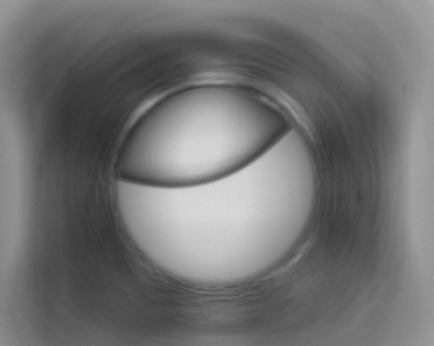 X0000114211465200910091019