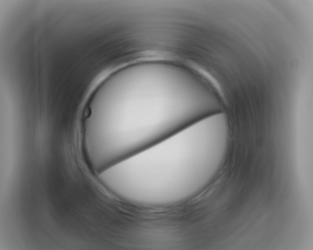 X0000114211467200910091019