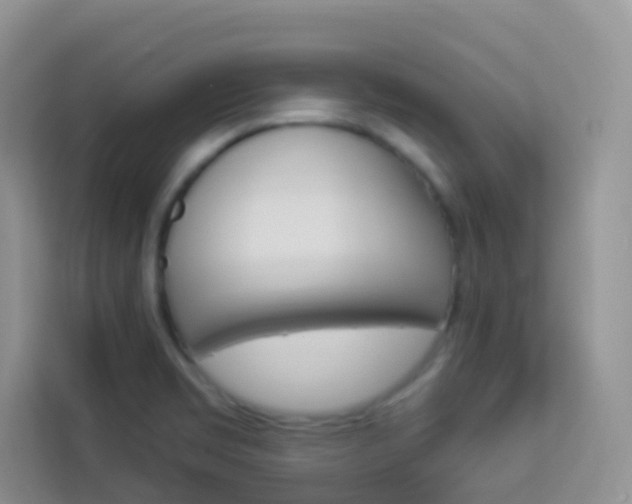 X0000114211469200910091019