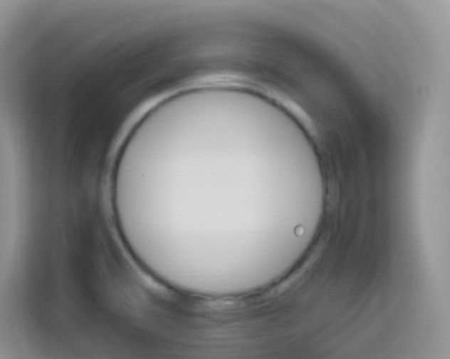 X0000114211470200910091019