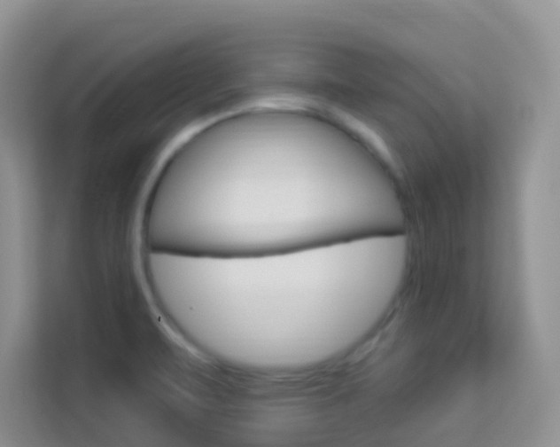 X0000114211471200910091019