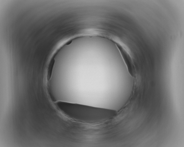 X0000114211477200910091019