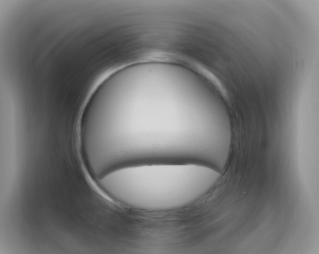 X0000114211479200910091019