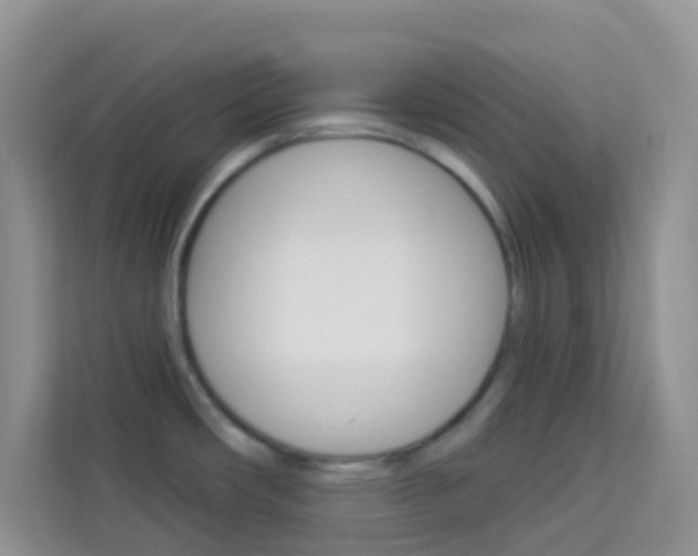 X0000114211482200910091019