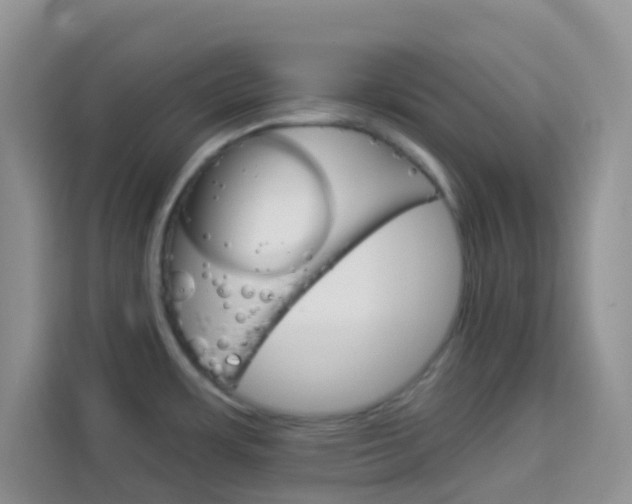 X0000114211483200910091019