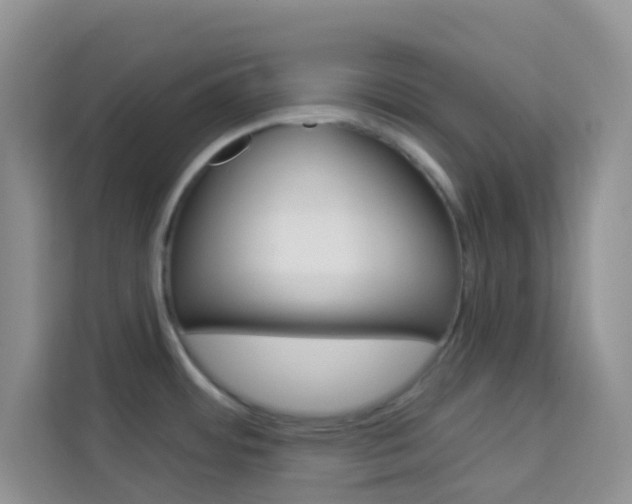 X0000114211484200910091019