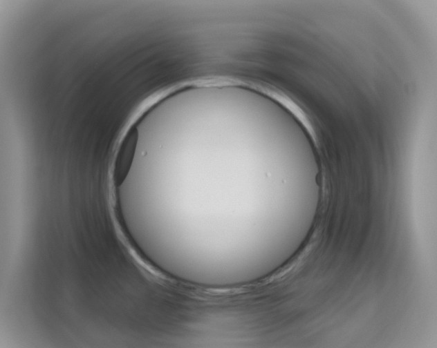 X0000114211485200910091019