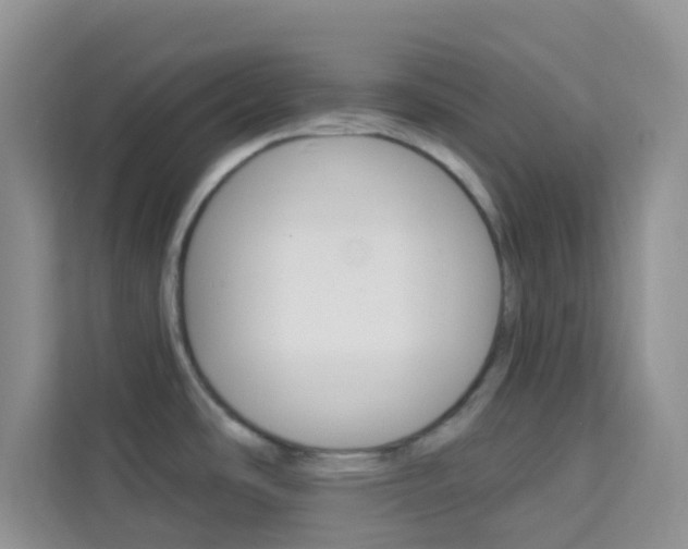 X0000114211486200910091019