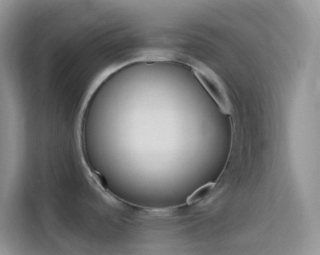 X0000114211488200910091019