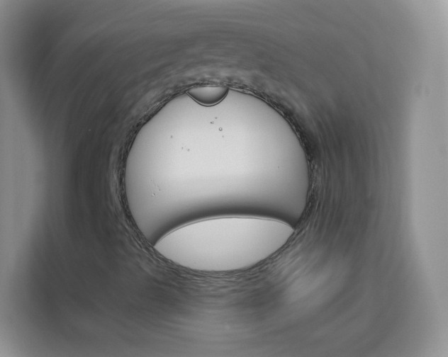 X0000114211489200910091018