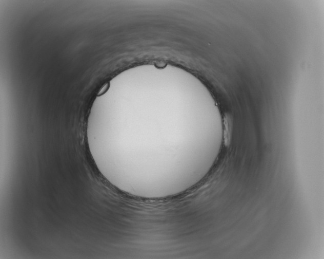 X0000114211491200910091018