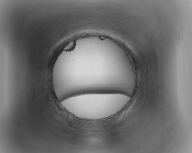 X0000114211494200910091018
