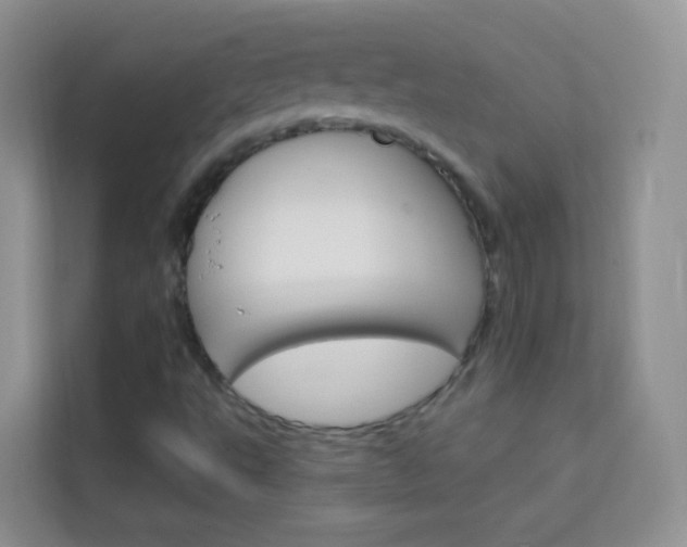 X0000114211495200910091018