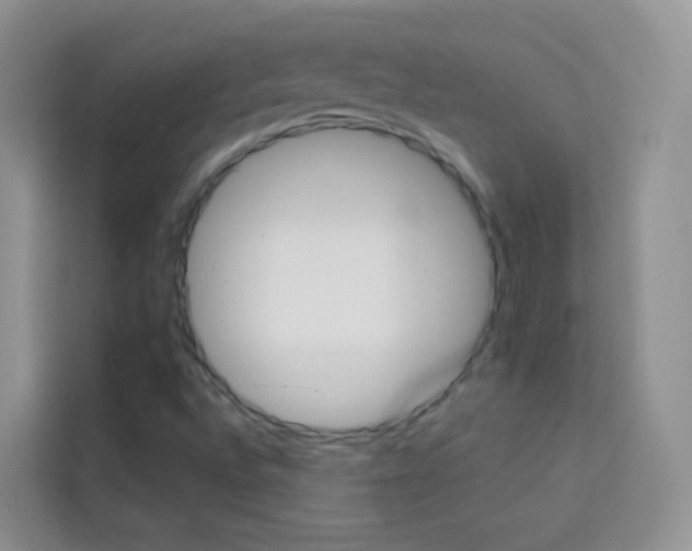 X0000114211496200910091018