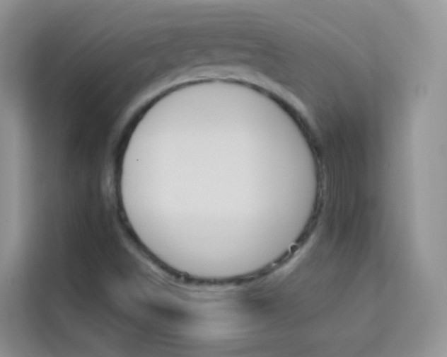 X0000114211498200910091018