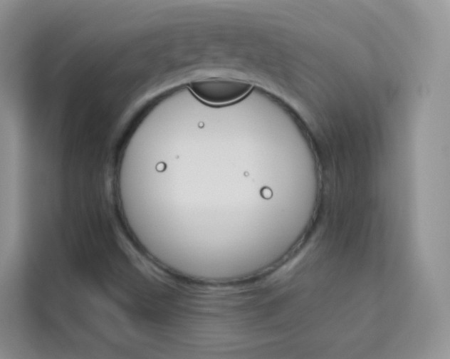 X0000114211499200910091018