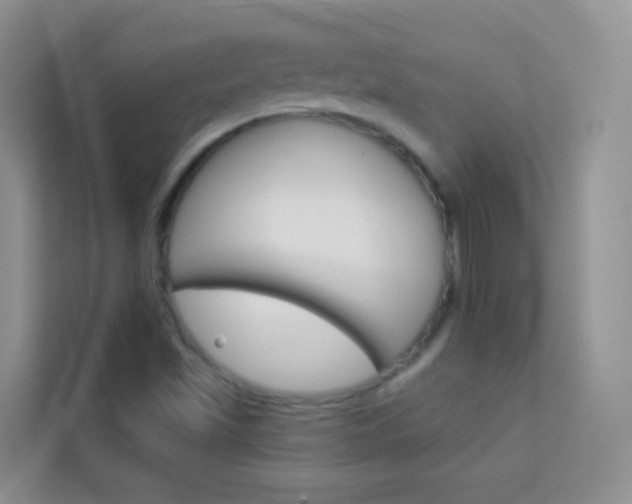 X0000114211501200910091018