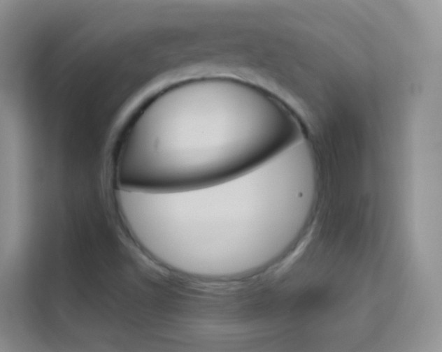 X0000114211502200910091018