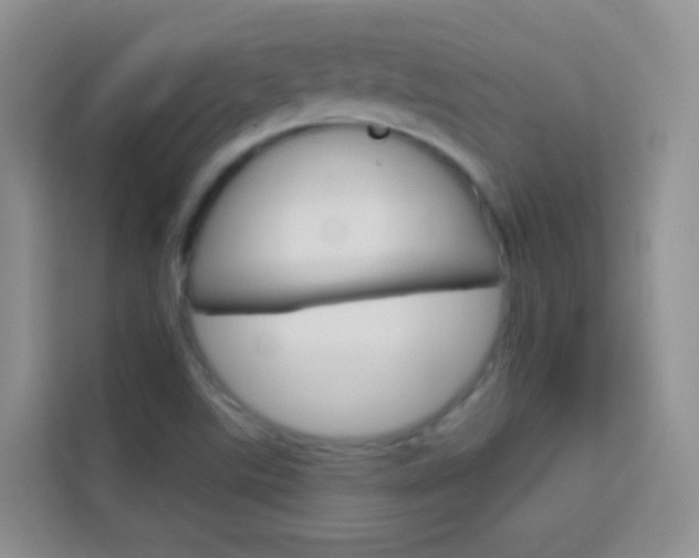 X0000114211507200910091018