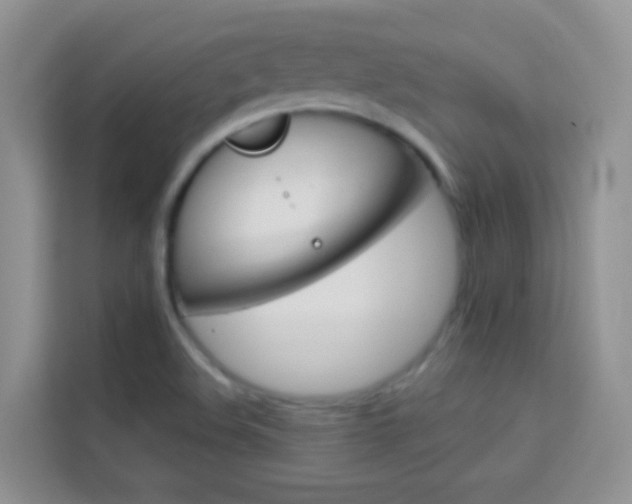 X0000114211508200910091018
