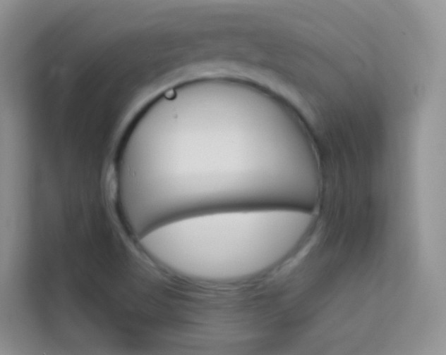 X0000114211509200910091018