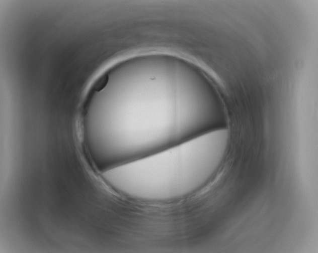X0000114211510200910091018