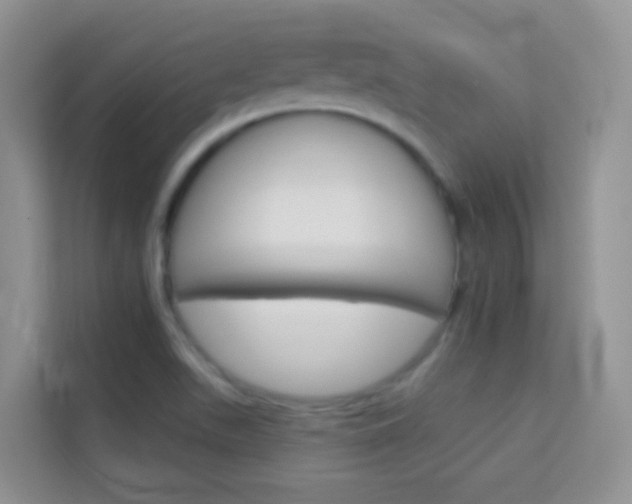 X0000114211511200910091018