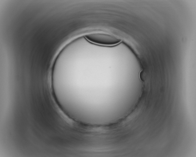 X0000114211516200910091018