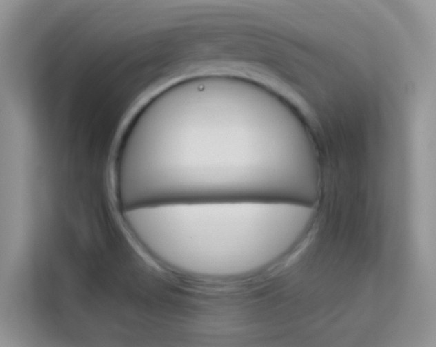 X0000114211517200910091018