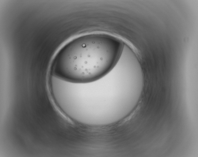 X0000114211518200910091018
